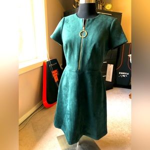 Calvin Klein green velour dress